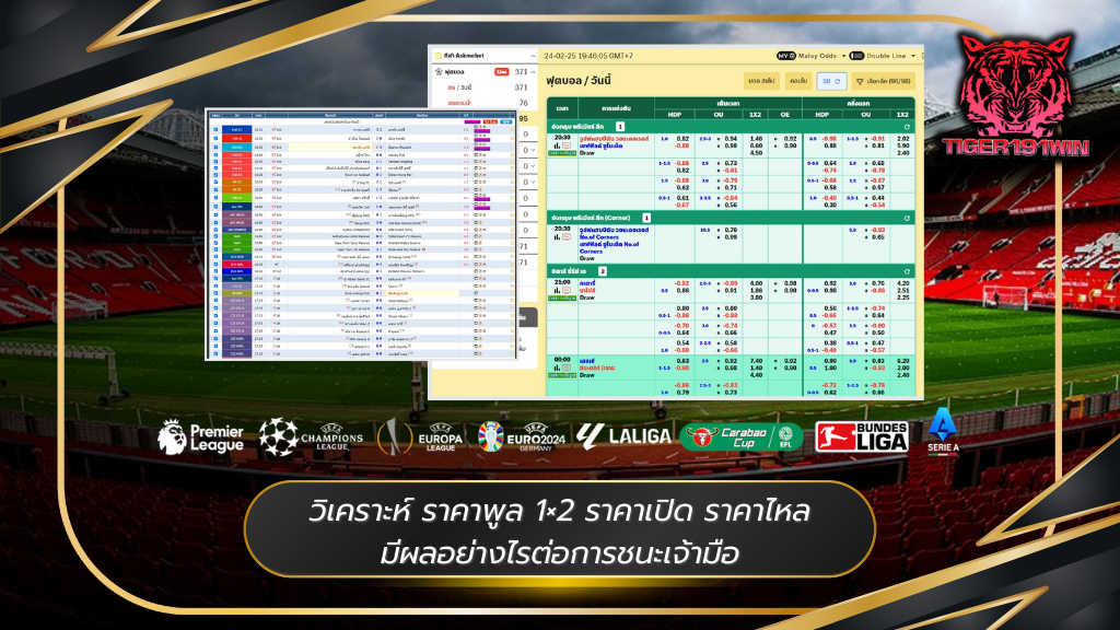 Tiger191win แทงบอล